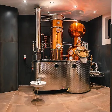 Gspan Apartment Pfunds