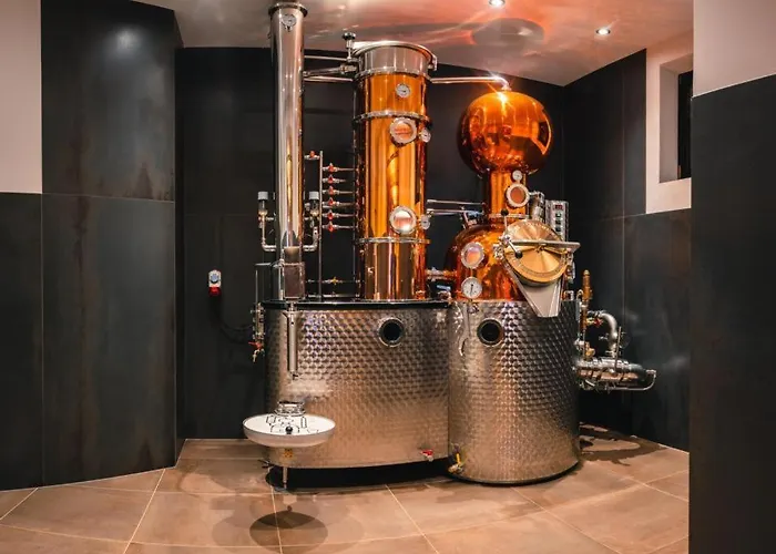 Gspan 公寓 普范德斯